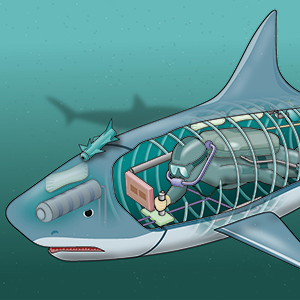 Shark sub